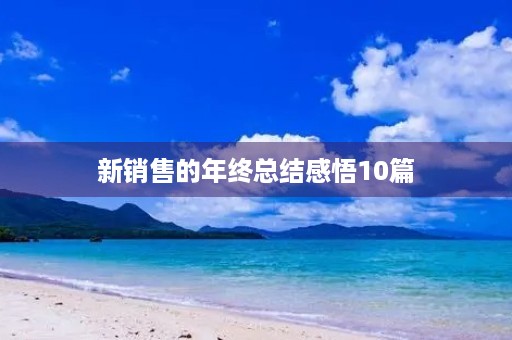 新销售的年终总结感悟10篇 新销售的年终总结感悟10篇