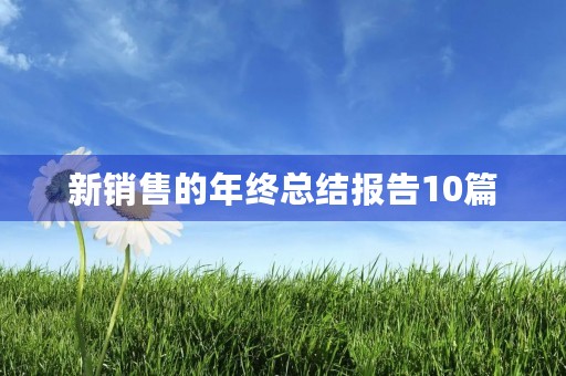 新销售的年终总结报告10篇