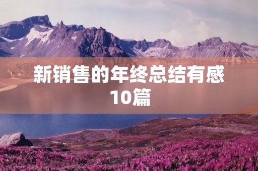 新销售的年终总结有感10篇