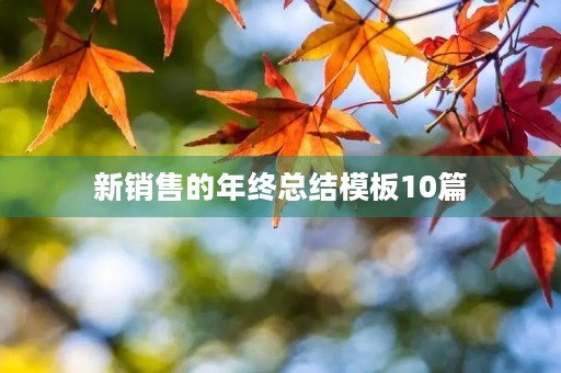 新销售的年终总结模板10篇