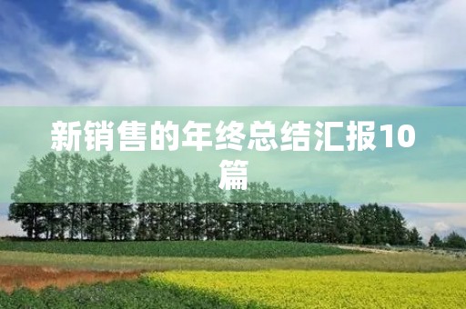 新销售的年终总结汇报10篇