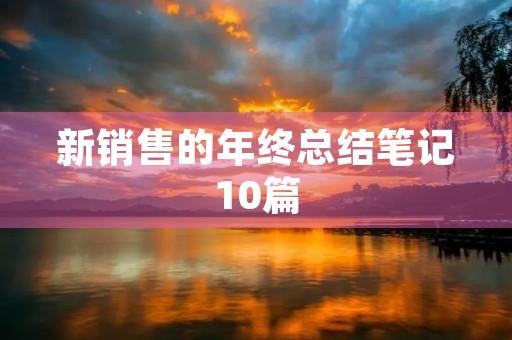 新销售的年终总结笔记10篇 新销售的年终总结笔记10篇