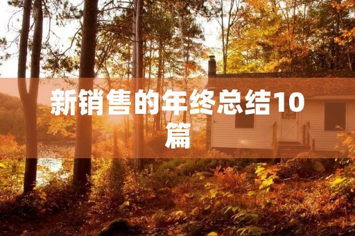 新销售的年终总结10篇