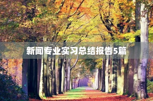 新闻专业实习总结报告5篇