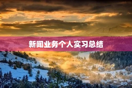 新闻业务个人实习总结 新闻业务个人实习总结