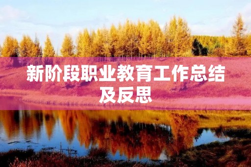 新阶段职业教育工作总结及反思