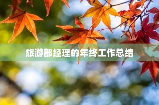 旅游部经理的年终工作总结 旅游部经理的年终工作总结
