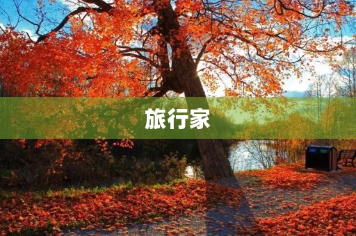 旅行家，我一生的理想