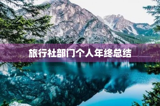 旅行社部门个人年终总结
