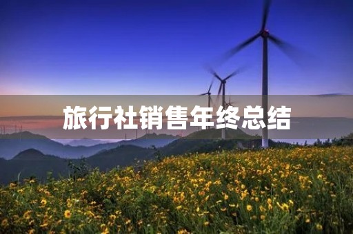 旅行社销售年终总结