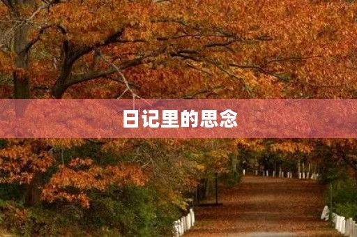 日记里的思念