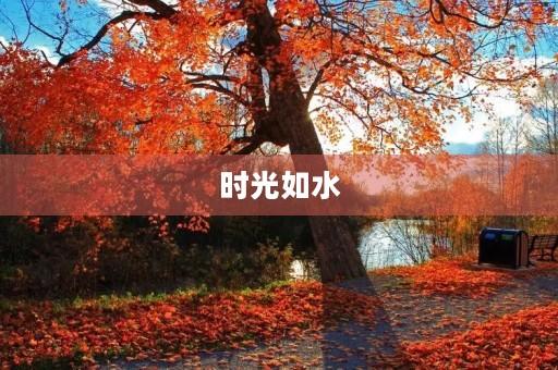 时光如水,生命如歌 时光如水,生命如歌