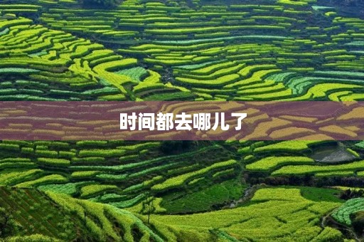 时间都去哪儿了 时间都去哪儿了