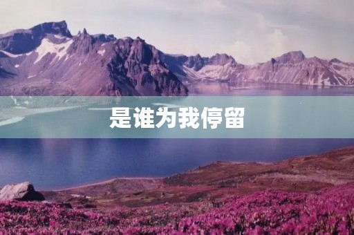 是谁为我停留