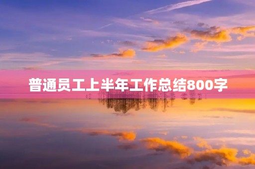普通员工上半年工作总结800字