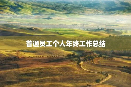 普通员工个人年终工作总结 普通员工个人年终工作总结