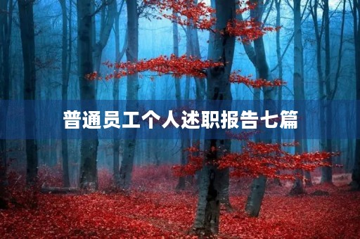 普通员工个人述职报告七篇