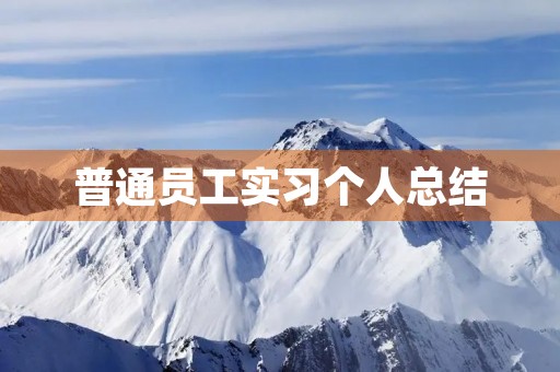 普通员工实习个人总结 普通员工实习个人总结
