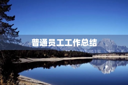 普通员工工作总结
