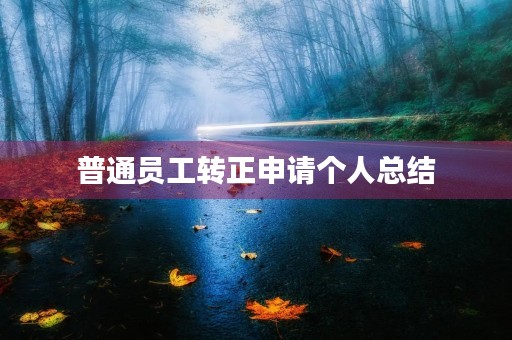 普通员工转正申请个人总结