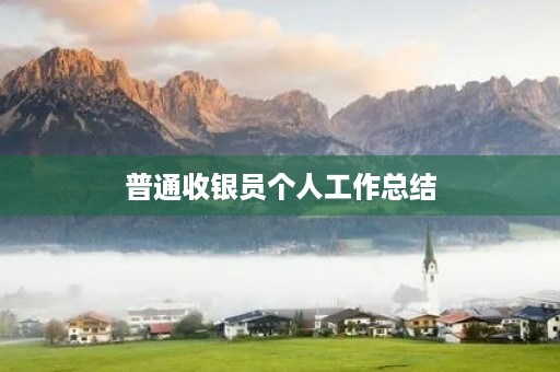 普通收银员个人工作总结