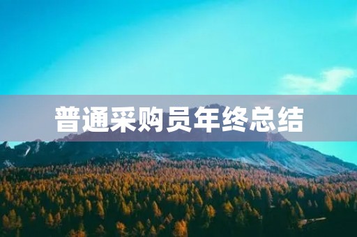 普通采购员年终总结 普通采购员年终总结