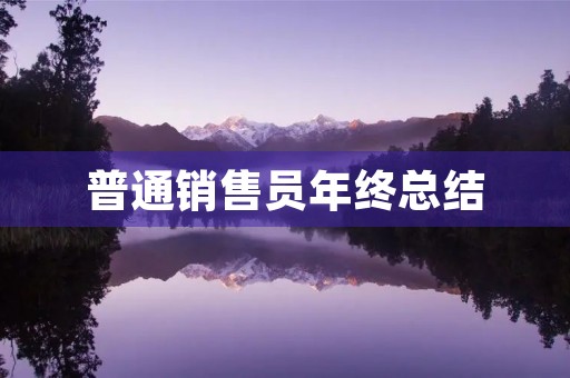 普通销售员年终总结 普通销售员年终总结