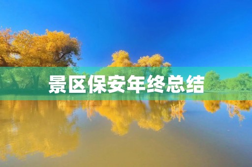 景区保安年终总结
