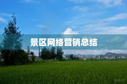 景区网络营销总结