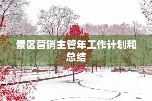 景区营销主管年工作计划和总结