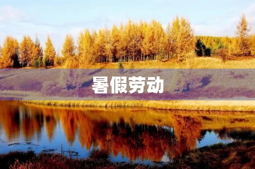 暑假劳动
