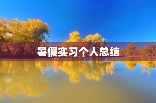 暑假实习个人总结