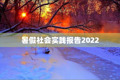 暑假社会实践报告2022
