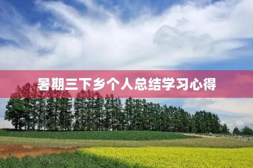 暑期三下乡个人总结学习心得