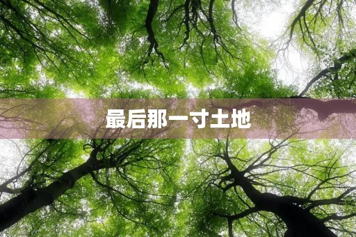 最后那一寸土地 最后那一寸土地