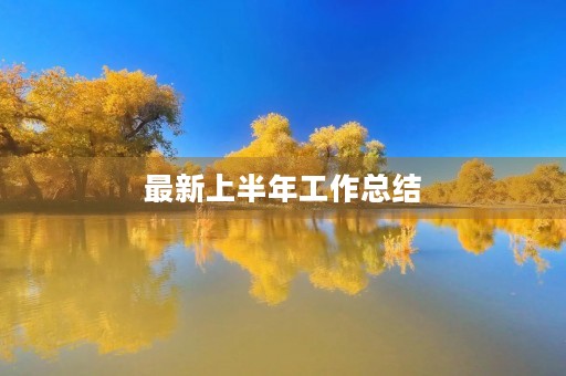最新上半年工作总结