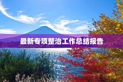 最新专项整治工作总结报告