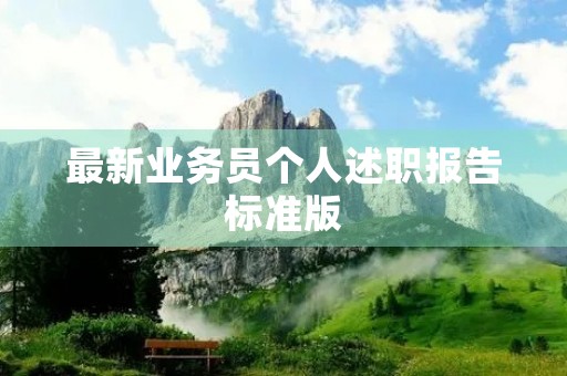 最新业务员个人述职报告标准版（10篇）