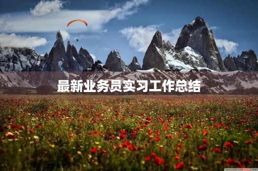 最新业务员实习工作总结
