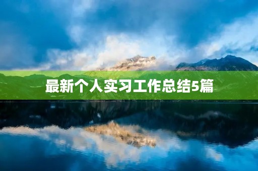 最新个人实习工作总结5篇