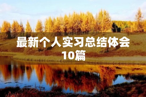 最新个人实习总结体会10篇