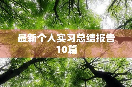 最新个人实习总结报告10篇