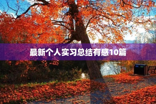 最新个人实习总结有感10篇 最新个人实习总结有感10篇