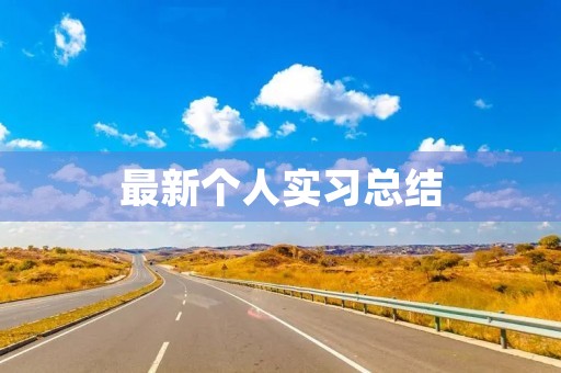 最新个人实习总结
