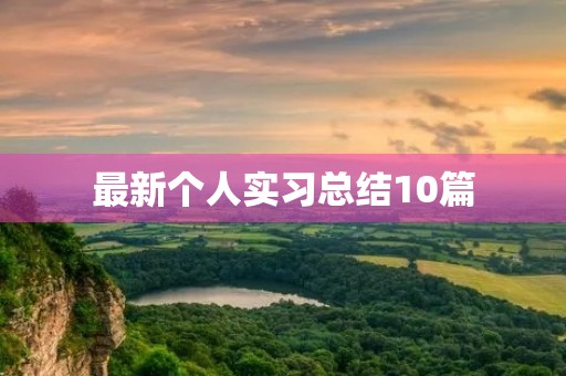 最新个人实习总结10篇