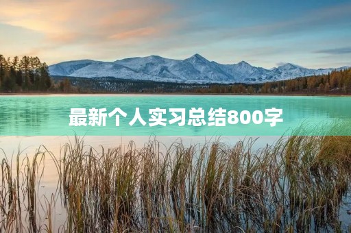 最新个人实习总结800字【6篇】