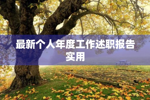 最新个人年度工作述职报告实用