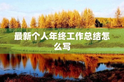 最新个人年终工作总结怎么写