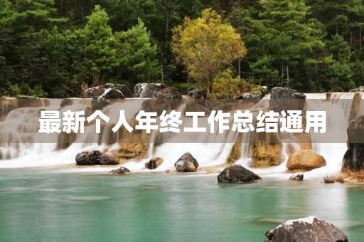 最新个人年终工作总结通用