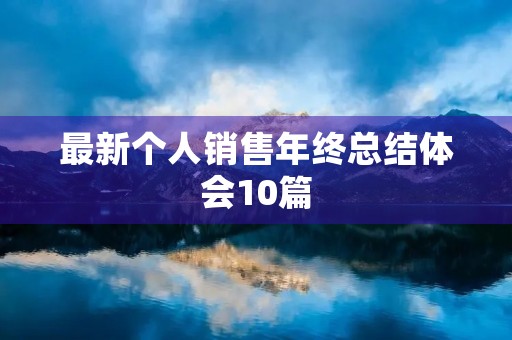 最新个人销售年终总结体会10篇